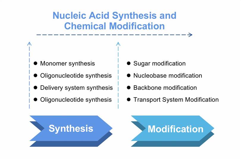 Nucleic Acid Drug Research and Drug Platform