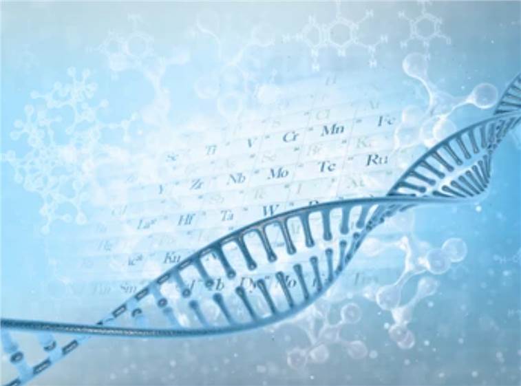Nucleic Acid Drug Research and Drug Platform