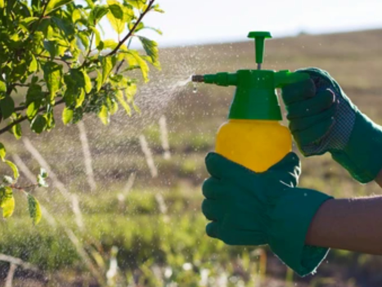 Pesticide Testing Service