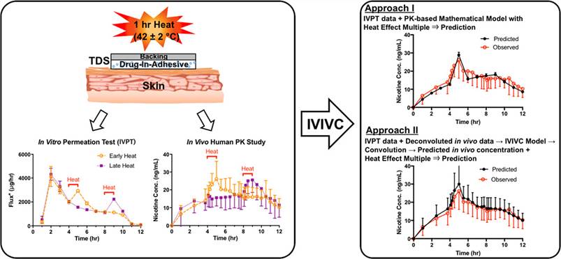 An IVPT study was conducted using excised human skin and uniform in vivo human serum pharmacokinetic studies to assess the potential IVIVC of nicotine BA in two matrix-based nicotine TDS.