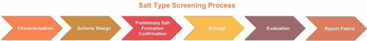 Salt Type Screening Process