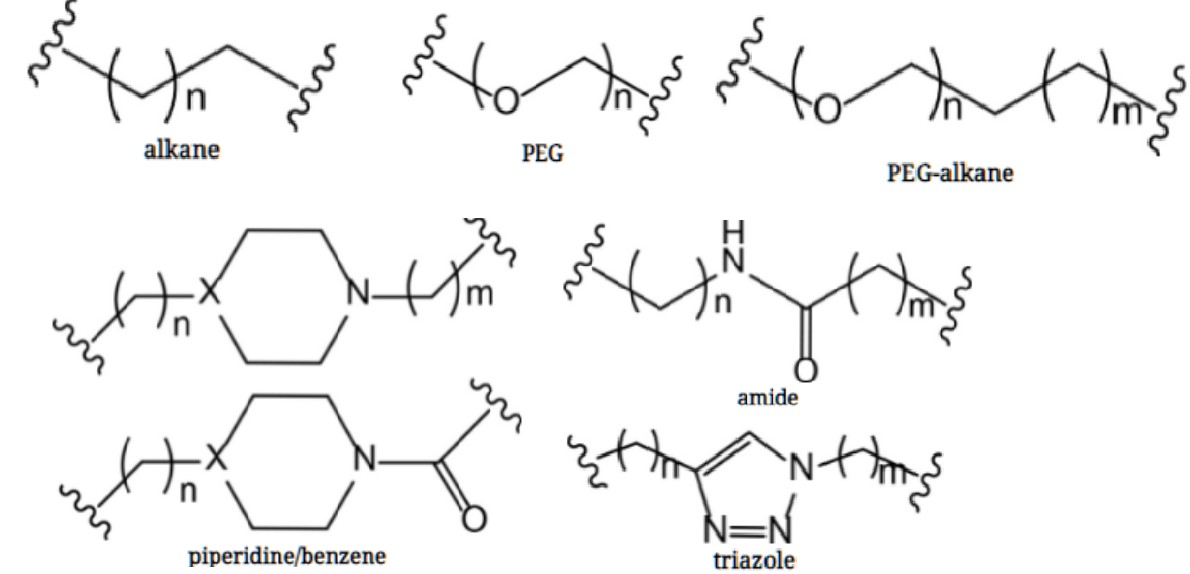 Fig. 3. The common types of linkers for design of PROTAC.