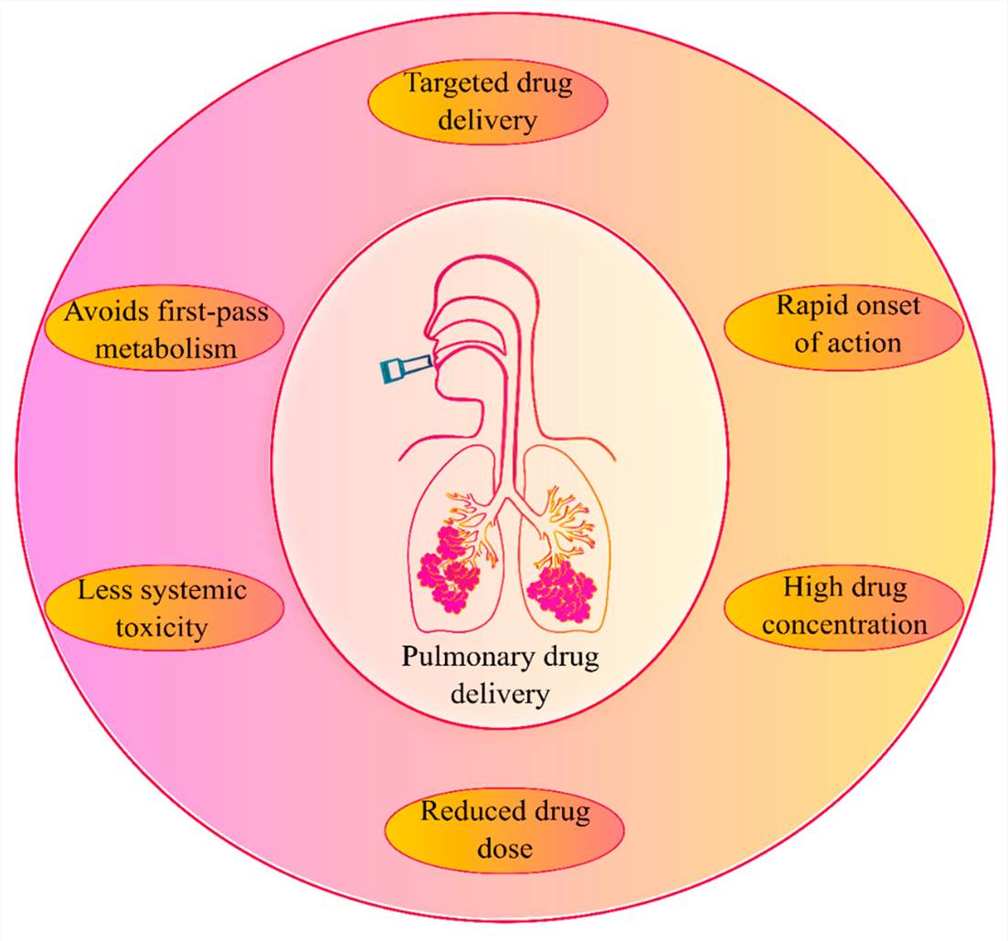 An overview of pulmonary drug delivery and its advantages.